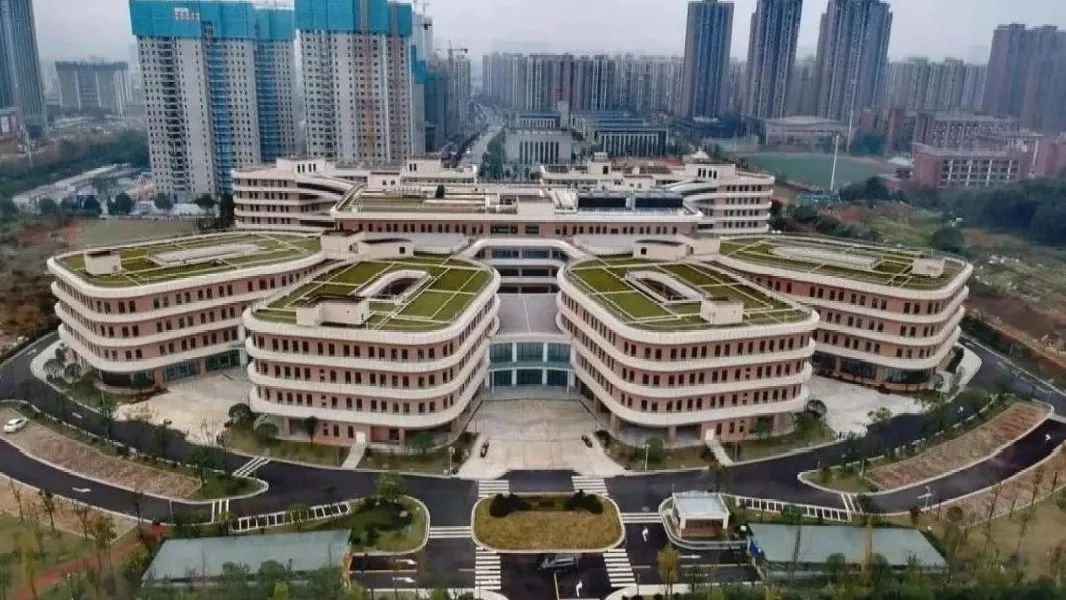 第一代、第二代、第三代供卵代生做供卵试管的优缺点区别及适宜人群