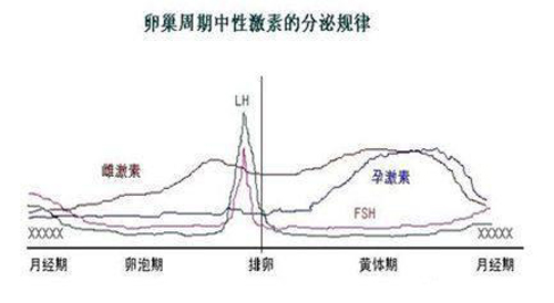 北京省妇幼保健院做供卵试管婴儿怎么样