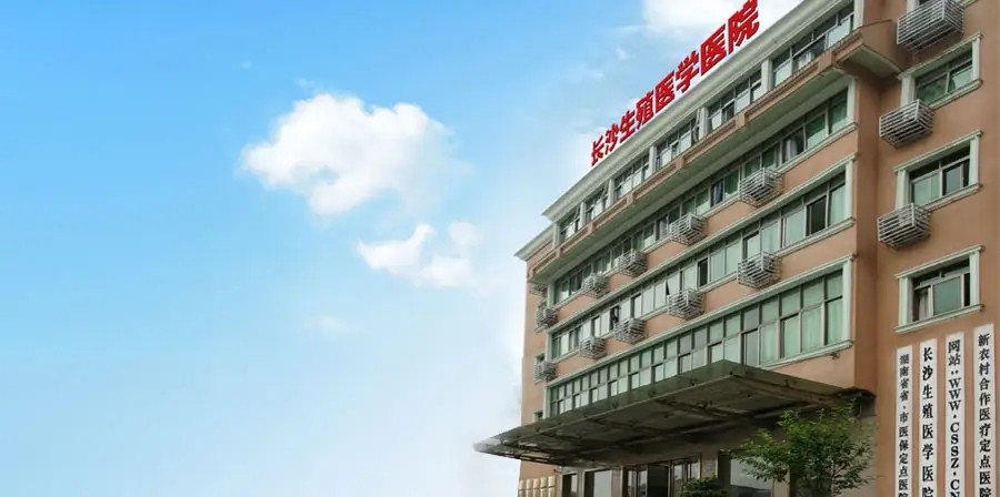 供卵试管婴儿培育多久放入子宫