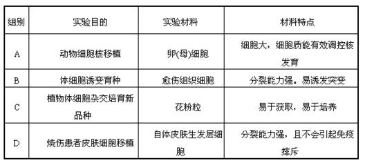 借卵试管婴儿用字母怎么表示