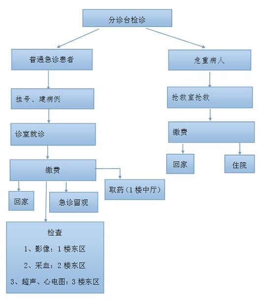 湘雅供卵试管价目表