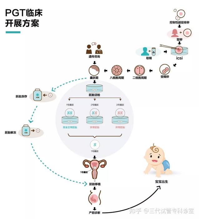 试管代怀是什么意思