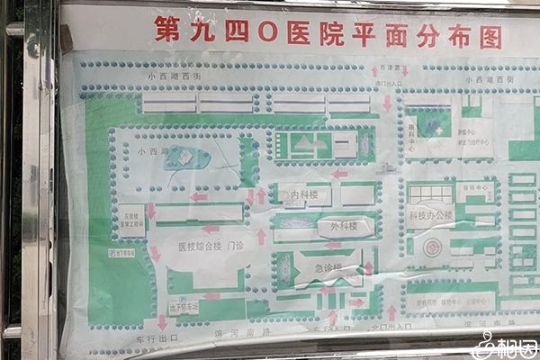 哪里能找到试管代怀包成功的说法可以相信吗？我想做