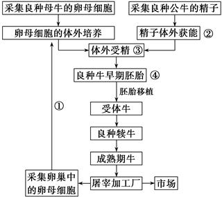 取完卵不移植要多久才能同房（同房需要注意什么？）