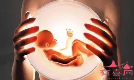 北京试管养囊的成功率,主要取决于什么