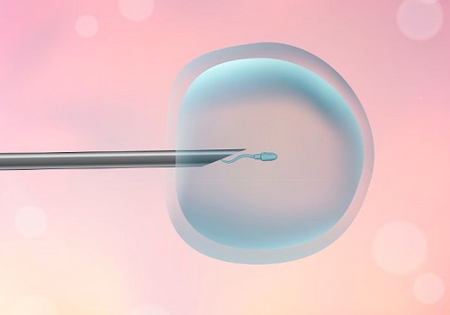 10个提高最大年纪精子试管代怀成功率的方法+