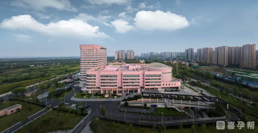 北京的试管价格明细是多少（为你全面介绍）
