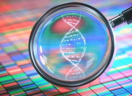 死精子可以代怀试管代怀公司吗（成活率是多少？）