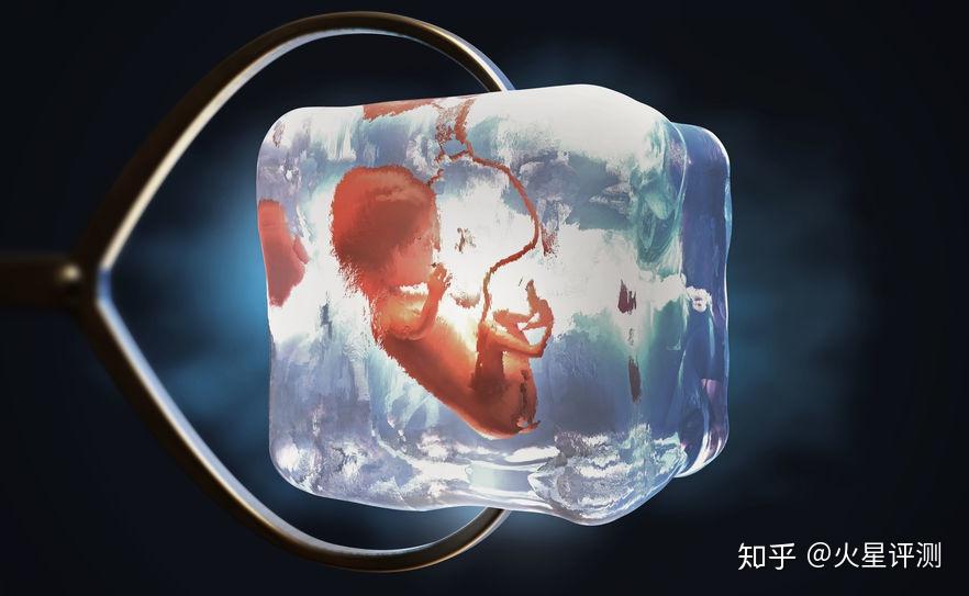 2024单身生子+2024单身数量