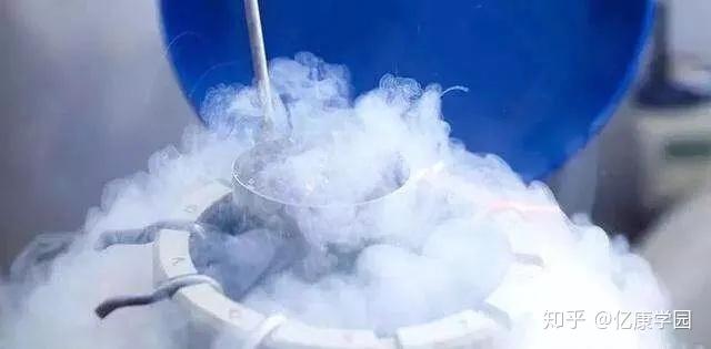 试管二代和三代哪个成功率高