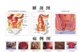 46岁女性用供卵试管代怀产子成功率