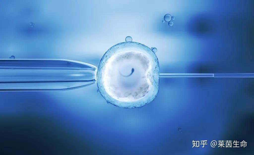 维生素为什么哺乳期母乳喂养的宝妈需要禁用维C和维生E+
