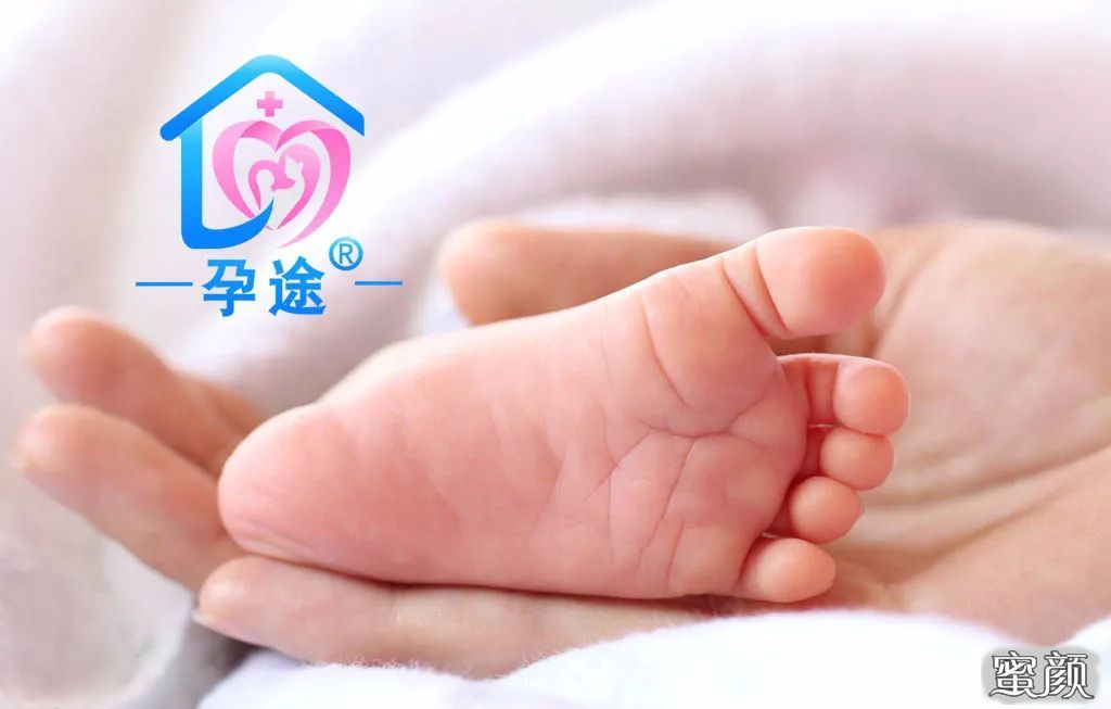试管胚胎第三天发育慢